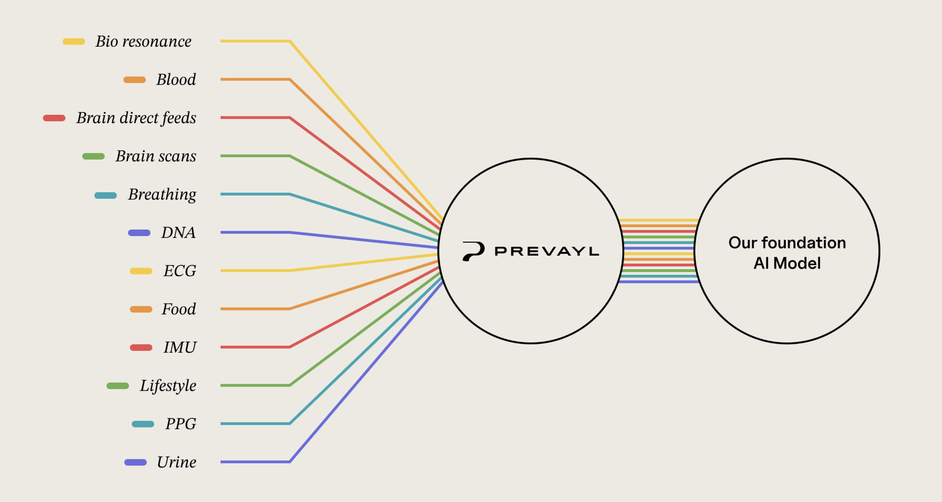 prevayl model diagram